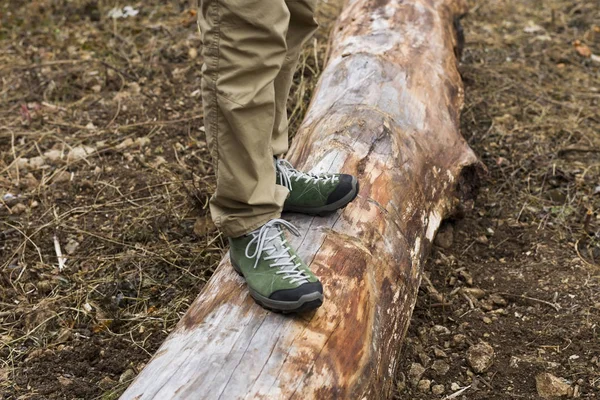 Sapatos Terreno Durante Naufrágio Floresta Outono — Fotografia de Stock