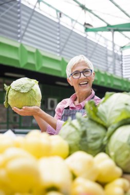 Kadın kıdemli organik sebze piyasasında satıyor
