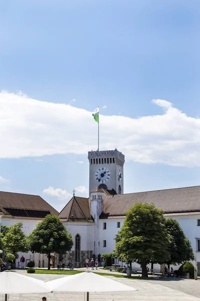 卢布尔雅那 斯洛文尼亚 2018年6月30日 Detil 卢布尔雅那城堡在斯洛文尼亚 它是第十二世纪建成的城镇的重要地标 — 图库照片