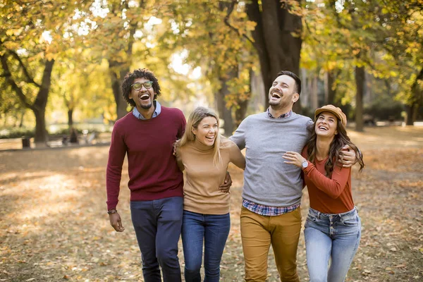 Jóvenes Multiraciales Caminando Parque Otoñal Divirtiéndose — Foto de Stock