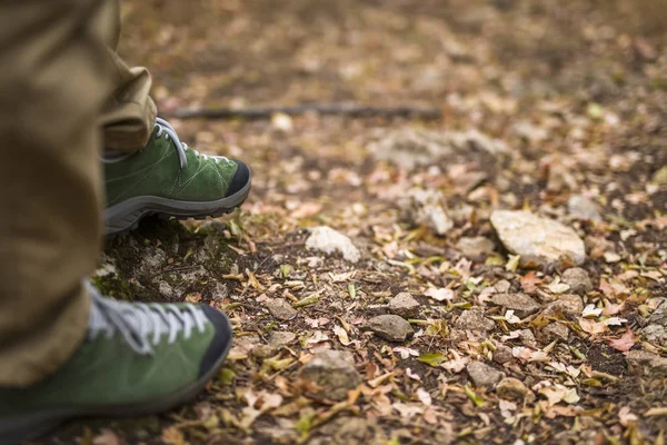 Обувь Время Прогулки Осеннем Лесу — стоковое фото