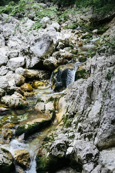 Gros Plan Cascade Savica Dans Vallée Bohinj Slovénie — Photo