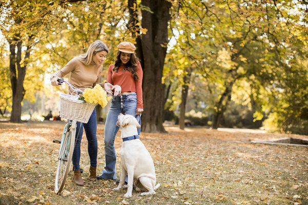 Two female friends walking in the yellow autumn park with dog and bicycle