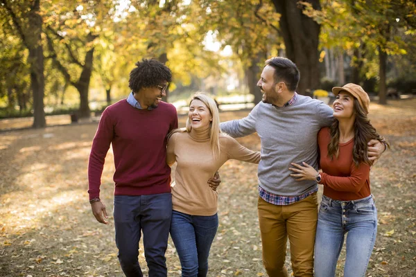 Multiraciale Unge Mennesker Går Efterårsparken Har Det Sjovt - Stock-foto