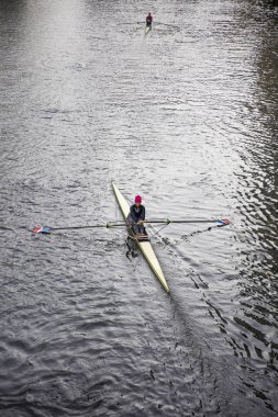 Hannover, Almanya - 27 Ekim 2018: Hannover, Almanya'nın kürek kimliği belirsiz bir kadın. Maschsee Gölü sayesinde IHME ve Leine Hanover barındıran birçok Kürek Kulübü.