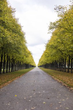 Sonbahar sokakta park, görüntüleme
