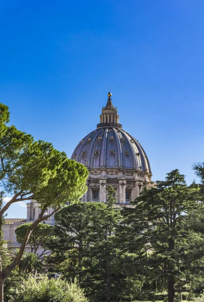 Vista Catedral San Pedro Vaticano —  Fotos de Stock