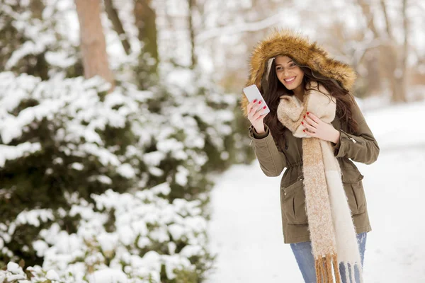 在户外冬季用手机自拍自拍的年轻女子的肖像 — 图库照片