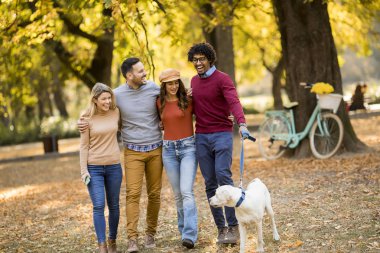 Çok ırklı gençler ile köpek parkta yürüyüş