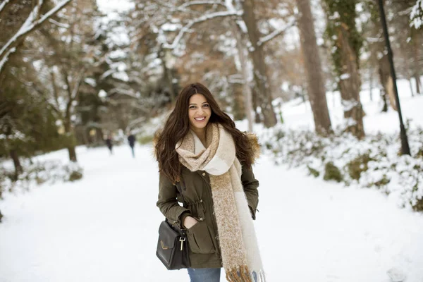 Портрет Молодой Женщины Зимнем Парке — стоковое фото