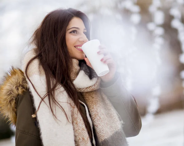 Porträt Einer Jungen Frau Snowpark Trinkt Tee — Stockfoto
