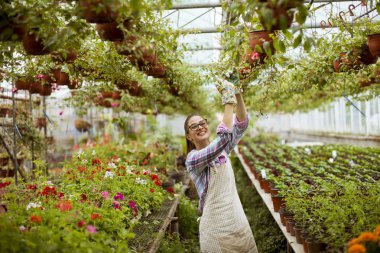 Sera içinde bahar çiçekleri ile çalışan genç ve güzel kadın