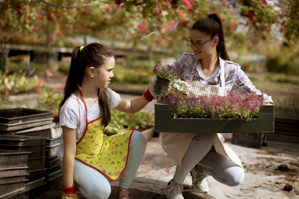 Unge Blomsterhandlere Nyder Arbejde Drivhuset - Stock-foto