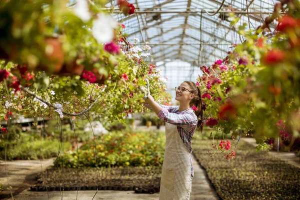 Sera içinde bahar çiçekleri ile çalışan genç ve güzel kadın