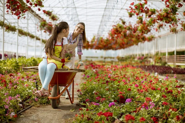 Two playful florist enjoying work while one of them riding in the cart at the greenhouse