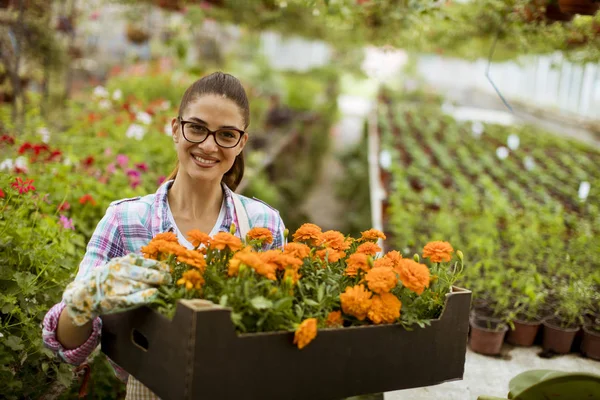 Mujer Joven Bonita Sosteniendo Una Caja Llena Flores Primavera Invernadero —  Fotos de Stock