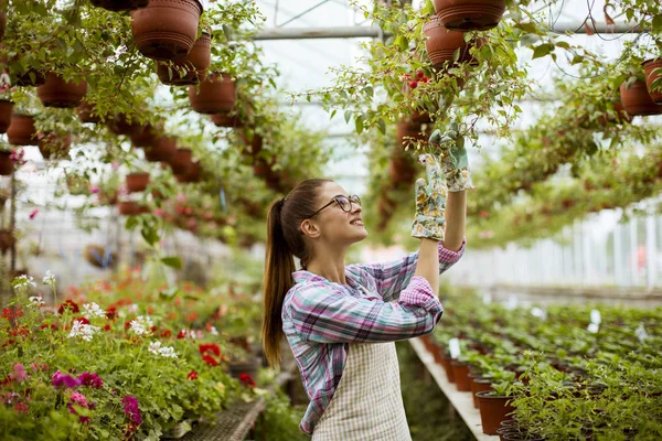 かなり若い女性温室の春の花と作業 — ストック写真