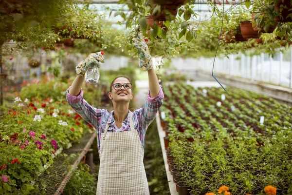 かなり若い女性温室の春の花と作業 — ストック写真