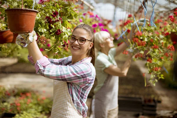 Retrato Mulheres Seniores Jovens Trabalhando Juntas Jardim Flores Dia Ensolarado — Fotografia de Stock