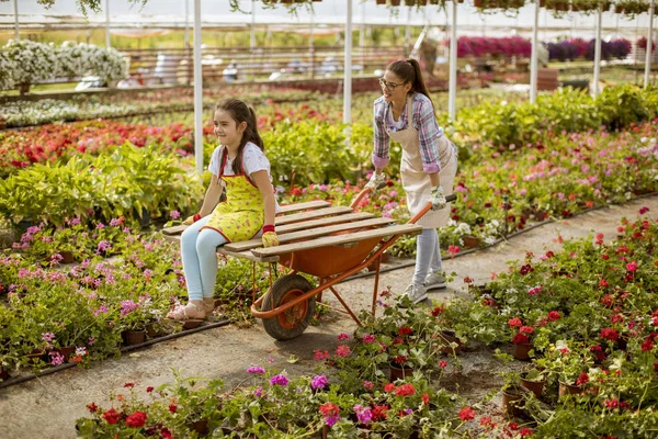 Dois Florista Brincalhão Apreciando Trabalho Enquanto Deles Montando Carrinho Estufa — Fotografia de Stock