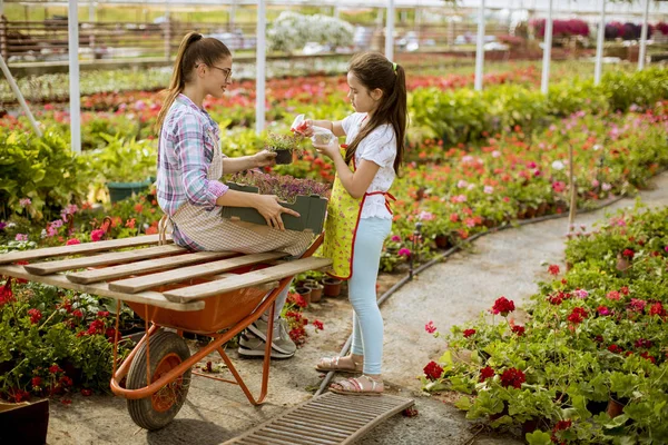 Dois Floristas Jovens Que Gostam Trabalhar Estufa — Fotografia de Stock