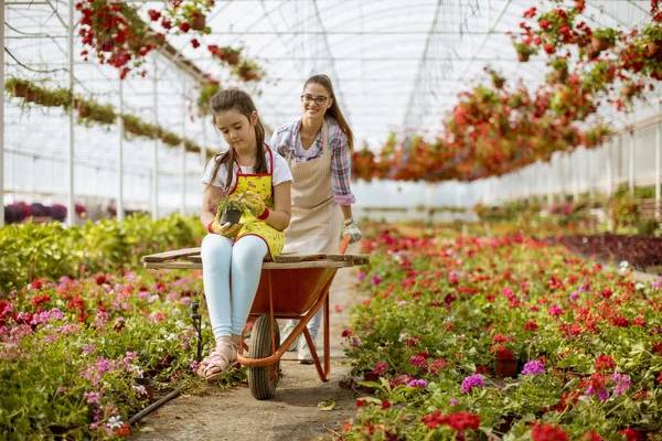 Dois Florista Brincalhão Apreciando Trabalho Enquanto Deles Montando Carrinho Estufa — Fotografia de Stock