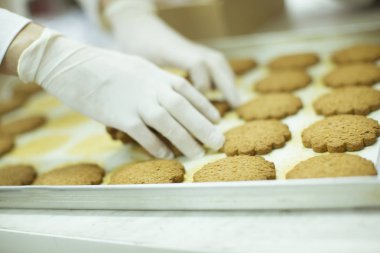 Koruyucu giysiler çerezleri fabrikasında çalışmaya workier