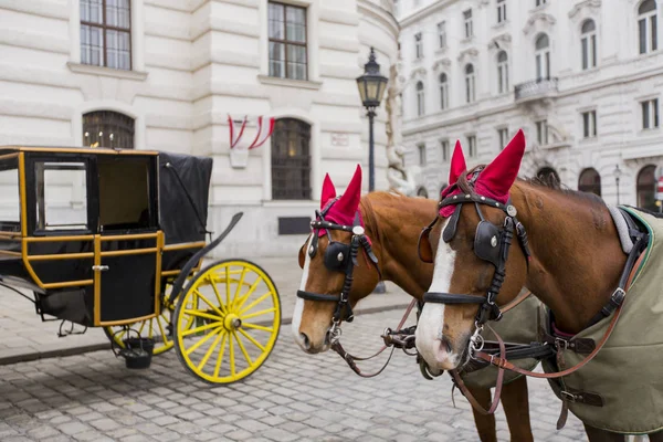 奥地利维也纳霍夫堡宫前的马车 — 图库照片