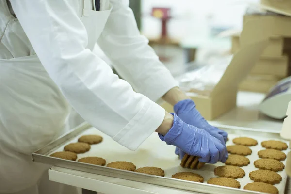 Workier Skyddande Kläder Arbetar Cookies Fabriken — Stockfoto