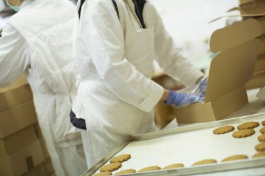 Koruyucu giysiler çerezleri fabrikasında çalışmaya workier