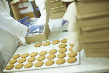 Koruyucu giysiler çerezleri fabrikasında çalışmaya workier
