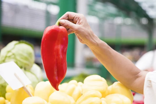 Paprika Der Hand Auf Dem Markt — Stockfoto