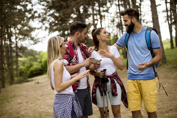 Gruppo Quattro Amici Che Camminano Insieme Attraverso Una Foresta Nella — Foto Stock