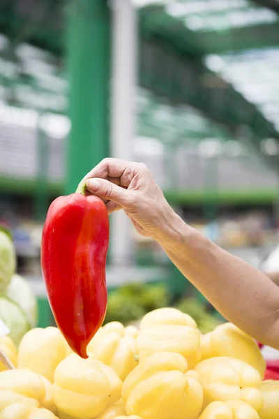 Röd Paprika Handen Marknaden — Stockfoto