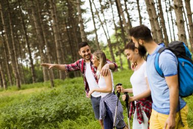 Grup dört arkadaşıyla birlikte bir orman yoluyla güneşli gün hiking
