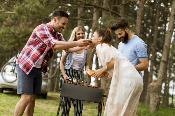 Young people enjoying barbecue party in the nature