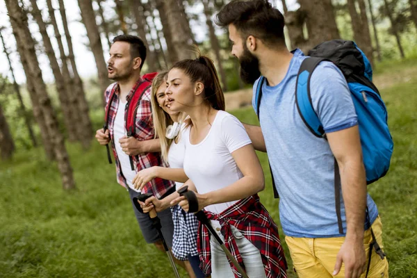 Grup Dört Arkadaşıyla Birlikte Bir Orman Yoluyla Güneşli Gün Hiking — Stok fotoğraf