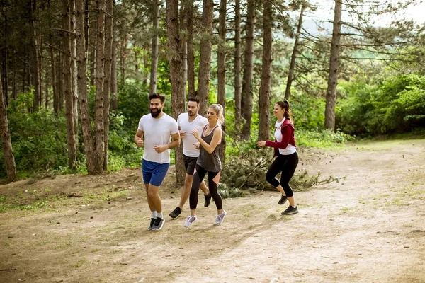 Jóvenes Corren Una Maratón Por Bosque —  Fotos de Stock