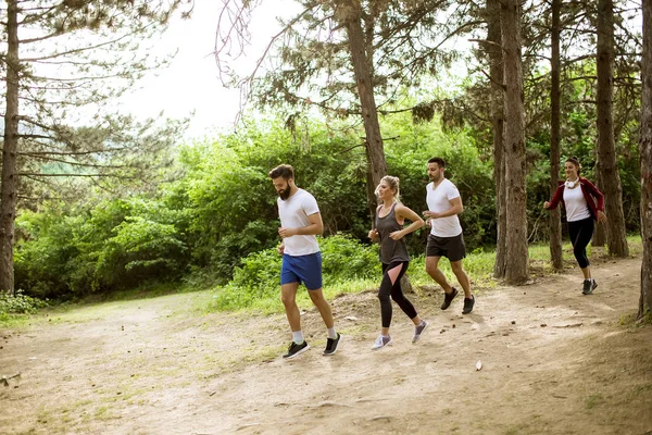 Jóvenes Corren Una Maratón Por Bosque —  Fotos de Stock