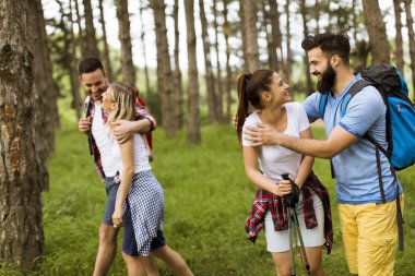 Grup dört arkadaşıyla birlikte bir orman yoluyla güneşli gün hiking