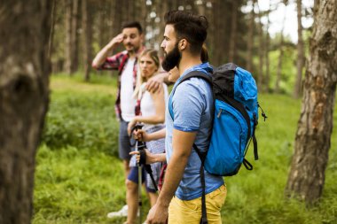 Grup dört arkadaşıyla birlikte bir orman yoluyla güneşli gün hiking