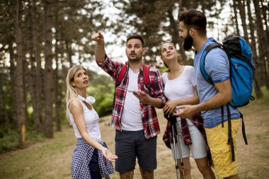 Grup dört arkadaşıyla birlikte bir orman yoluyla güneşli gün hiking