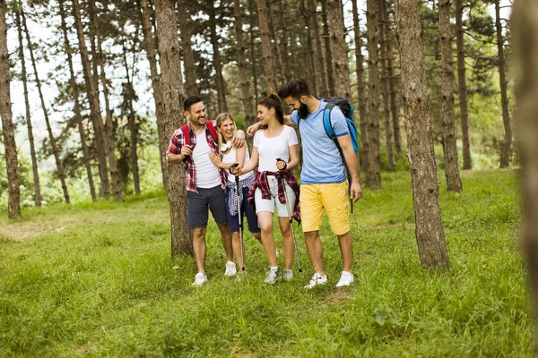 Grupo Cuatro Amigos Caminando Juntos Través Bosque Día Soleado — Foto de Stock