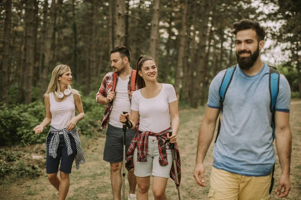 Grup Dört Arkadaşıyla Birlikte Bir Orman Yoluyla Güneşli Gün Hiking — Stok fotoğraf