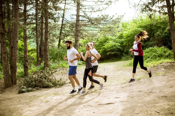 Giovani Corrono Una Maratona Nella Foresta — Foto Stock