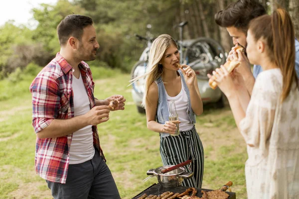 Jovens Gostando Churrasco Natureza — Fotografia de Stock