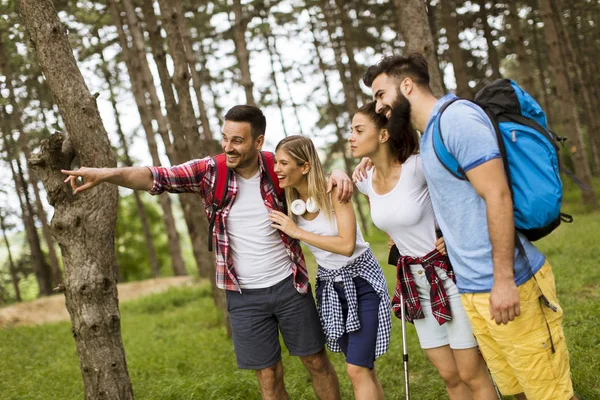 Grup Dört Arkadaşıyla Birlikte Bir Orman Yoluyla Güneşli Gün Hiking — Stok fotoğraf