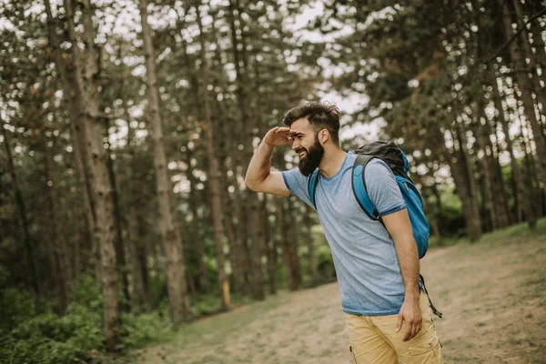 夏の日 美しい森でハイキング活発な健康な男性 — ストック写真