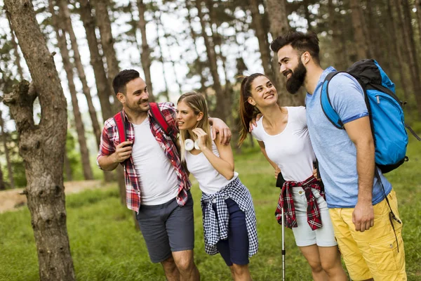 Groep Vier Vrienden Samen Wandelen Door Een Forest Zonnige Dag — Stockfoto