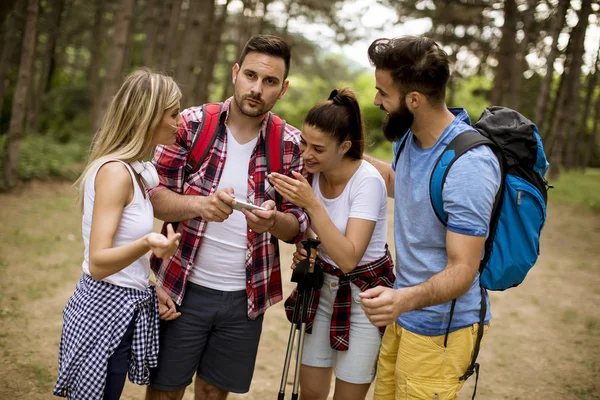 Group of four friends hiking together through a forest at sunny day